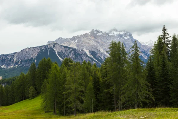Görünüm od Dolomites Alpler'de yaz