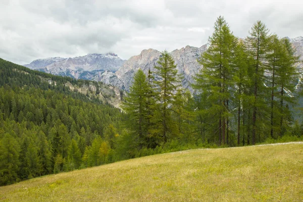 Widok od Alpy Dolomity latem — Zdjęcie stockowe