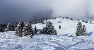 Zillertall valley, Avusturya Alpleri'nde görünümünü