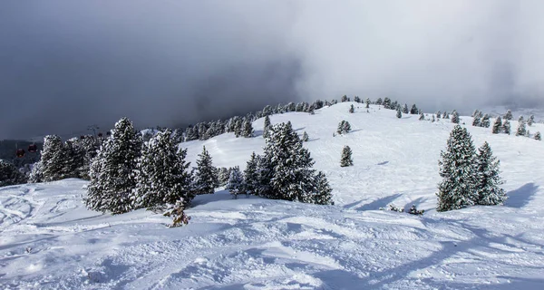 Zillertall valley, Avusturya Alpleri'nde görünümünü