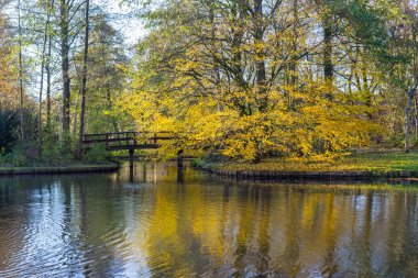 Kanallar Amstelveen, sonbahar