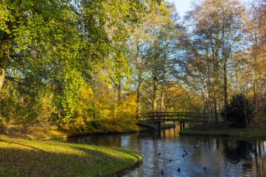 Kanallar Amstelveen, sonbahar