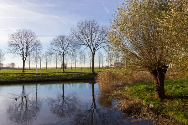 Canales de Amstelveen, tiempo de otoño —  Fotos de Stock