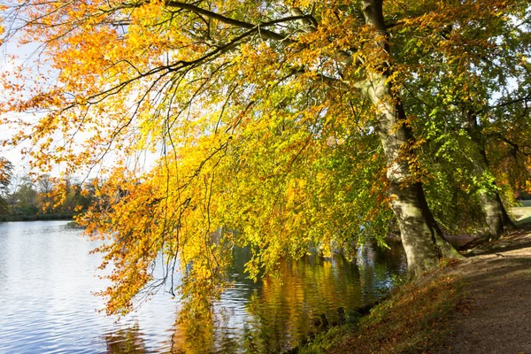 Indian summer time near the lake — Stock Photo, Image