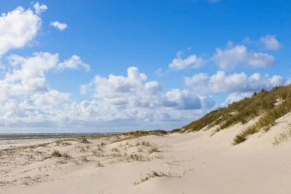 Homokdűnék Blaavand Beach Dél Jütland Dánia — Stock Fotó
