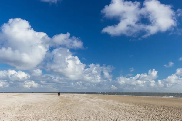 Wydmy Plaży Holstebro Południowej Jutlandii — Zdjęcie stockowe