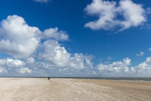 Dune Sabbia Della Spiaggia Blaavand Jutland Meridionale Danimarca — Foto Stock