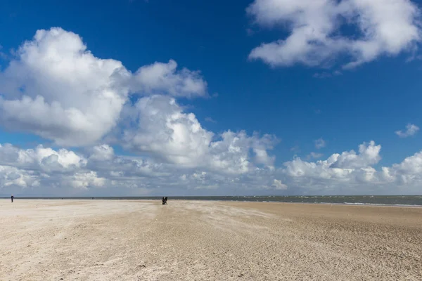 丹麦南部日德兰半岛 Blaavand 海滩沙丘 — 图库照片