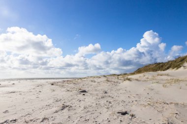 kum tepeleri Blaavand Beach, Güney Jutland, Danimarka