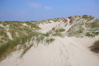sand dunes of Island Romo, western Denmark clipart