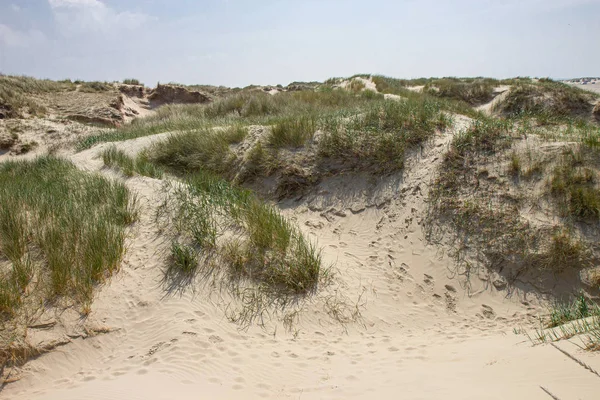 Romo sziget homokdűnéi, Nyugat-Dánia — Stock Fotó