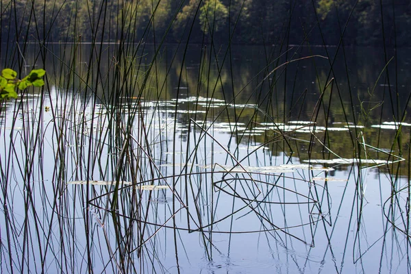Superficie del agua de un pequeño lago en Suecia — Foto de Stock