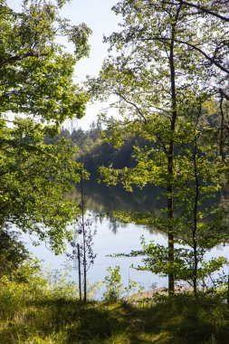 İsveç 'te küçük bir gölün su yüzeyi