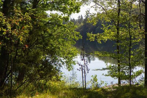 Vodní plocha malého jezera ve Švédsku — Stock fotografie