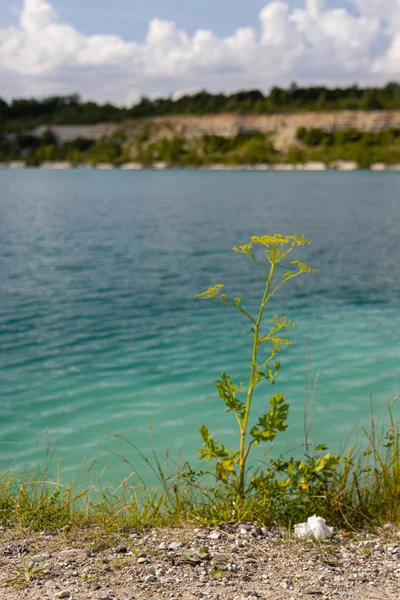 Озеро Карлструп Калкгров, яке колись було крейдяною ямою. — стокове фото