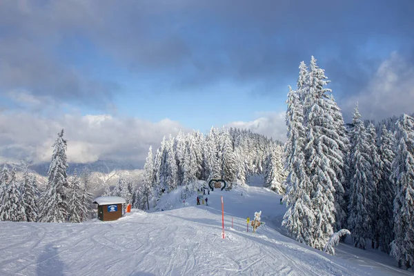 雪地覆盖在雪地滑雪胜地雪地上的树木 — 图库照片