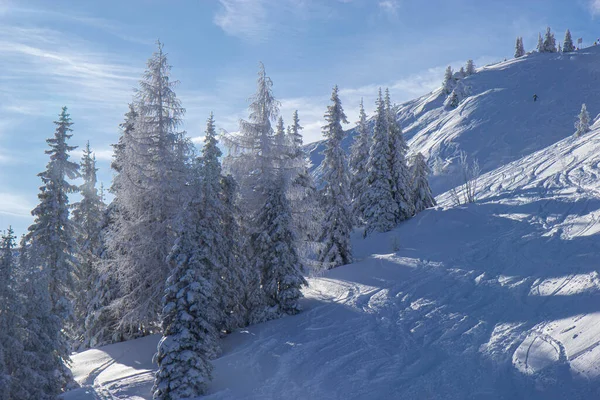 Árvores cobertas de neve nas pistas de Schladming estância de esqui — Fotografia de Stock