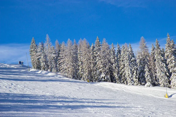 Pohon ditutupi dengan salju di pistes dari ski Schladming resor — Stok Foto