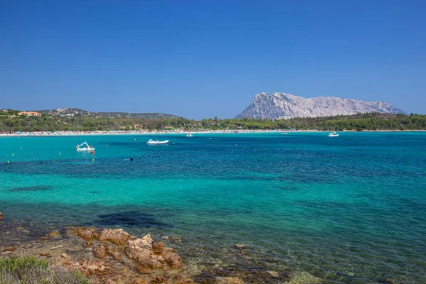 从撒丁岛海滩看Isola Tavolara 图库图片