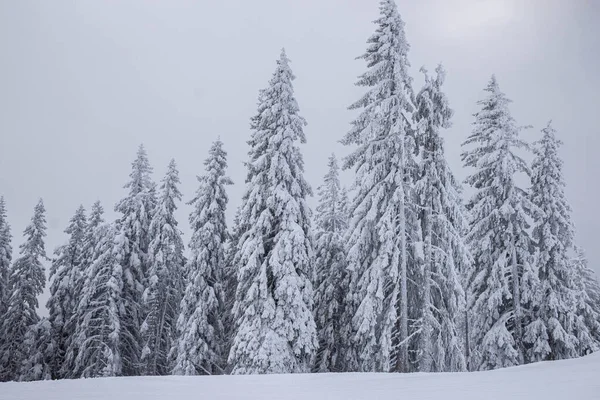 Vue sur la piste de ski dans les Alpes autrichiennes — Photo