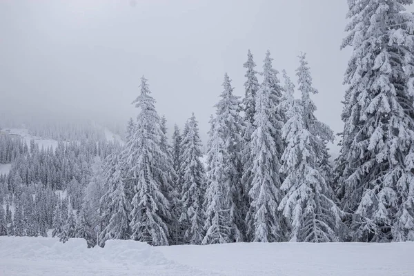Blick auf die Piste im Skigebiet in den österreichischen Alpen Stockbild