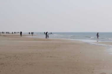 Danimarka 'nın geniş kumlu sahilleri Kuzey kıyıları