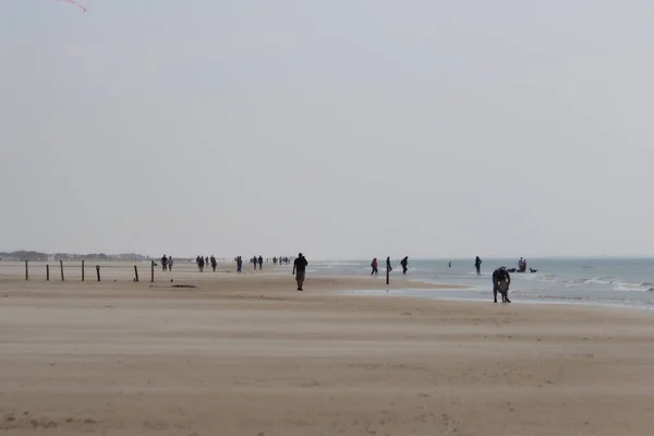 Wide sandy beach of danish North sea coast — Stock Photo, Image