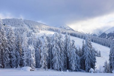 Avusturya kayak merkezinin güzel manzarası, Dachstein bölgesi, Alpler