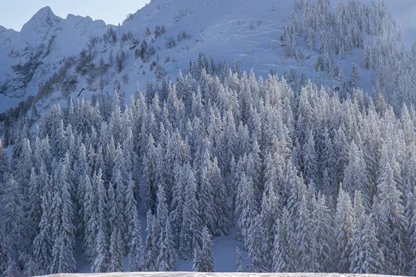아름다운 오스트리아 스키 리조트, 아담 스타인 지역, 알프스 — 스톡 사진