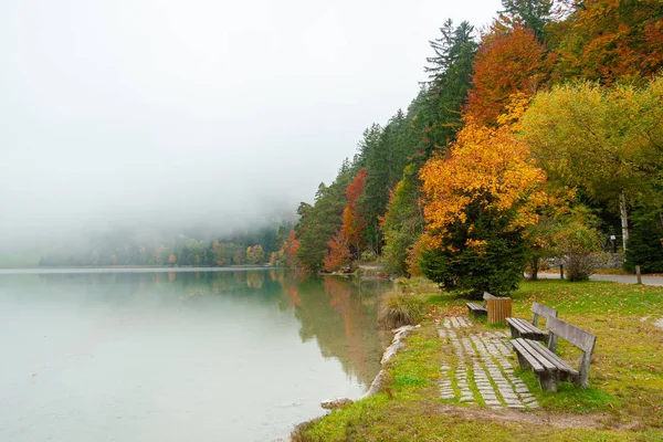 Bank am See in den bayerischen Alpen, Deutschland — Stockfoto