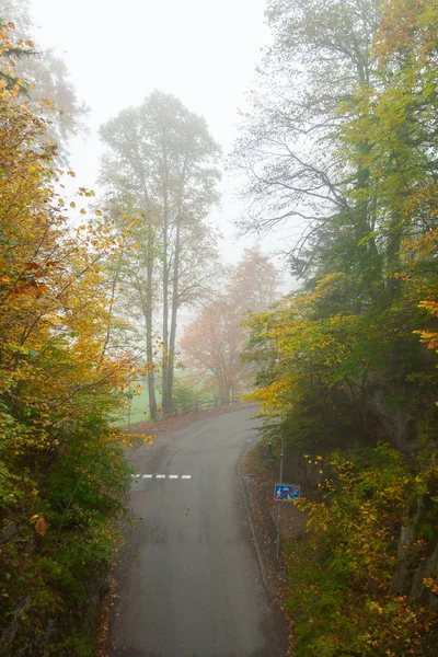 Ścieżka piesza przez las w Alpach Bawarskich — Zdjęcie stockowe