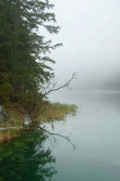在雾蒙蒙的秋日，带着湖面的稻草人 — 图库照片