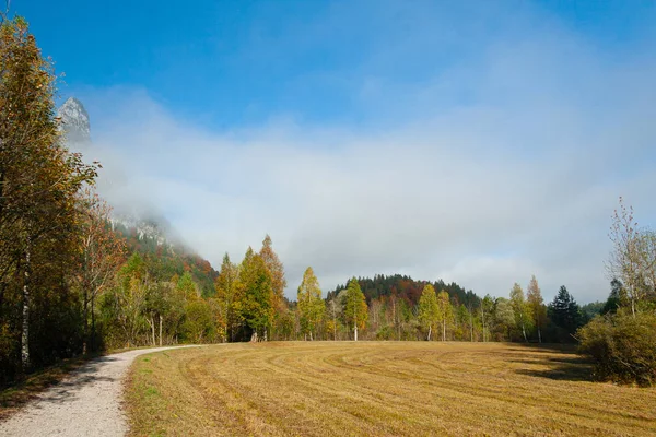 En gångstig genom en skog i bayerska alperna — Stockfoto