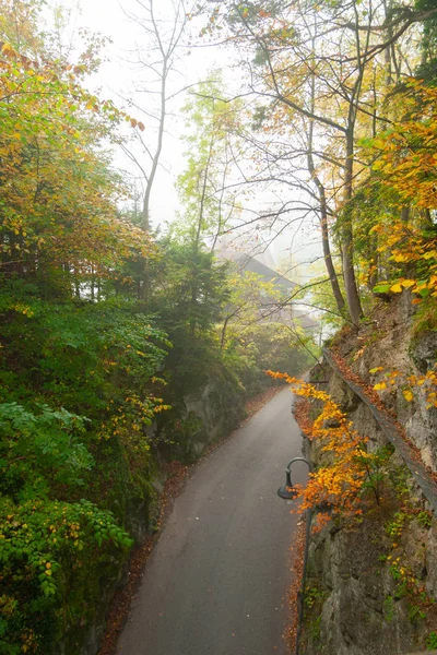 A foot path through a forest in Bavarian Alps — Stock Photo, Image