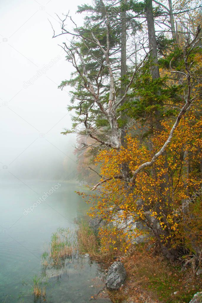 landscaape with lake in a foggy autumn day