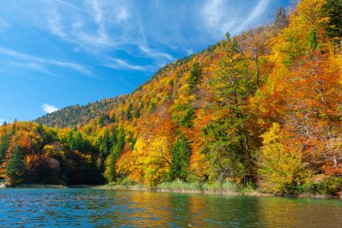 Schwangau yakınlarındaki Bavaian Alplerindeki Alpsee Gölü manzarası