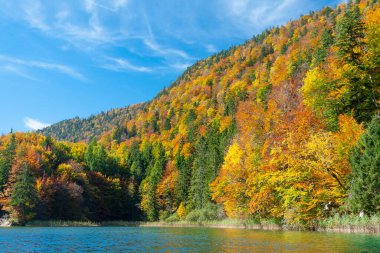 Schwangau yakınlarındaki Bavaian Alplerindeki Alpsee Gölü manzarası