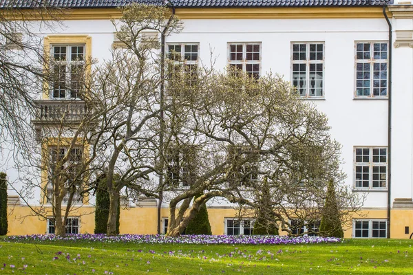 Vue Une Façade Palais Charlottenlund Nord Copenhague Danemark — Photo