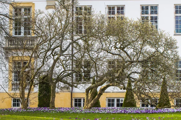 Вигляд Палац Шарлоттенлунд Північ Від Копенгагена Данія — стокове фото