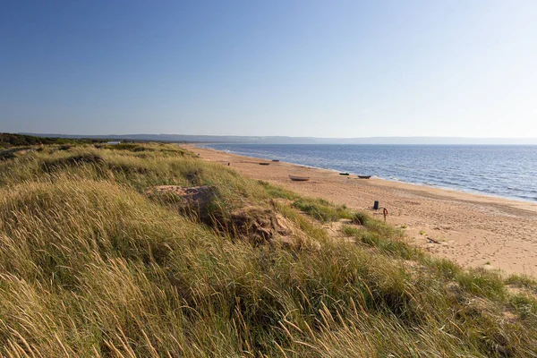 Plage Sable Fin Mellembystrand Province Halland Sud Suède — Photo