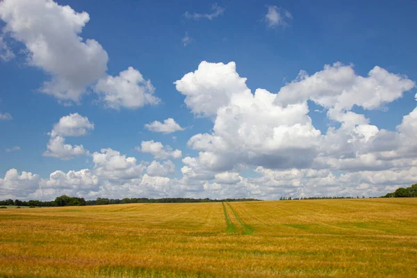 Krajobraz rolniczy wyspy Lolland w Danii — Zdjęcie stockowe