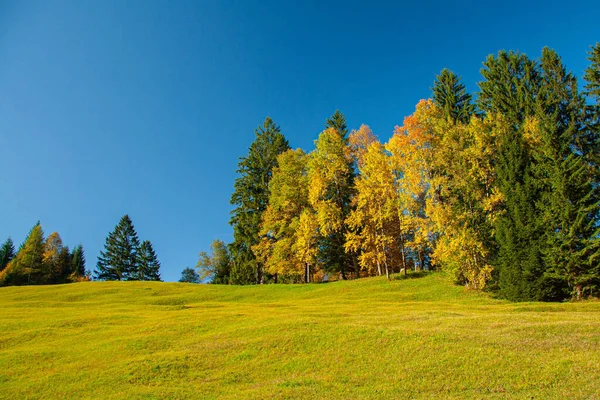 Słoneczny Jesienny Dzień Alpach Bawarskich Południowe Niemcy — Zdjęcie stockowe