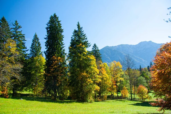 Giornata Autunnale Soleggiata Nelle Alpi Bavaresi Germania Meridionale — Foto Stock