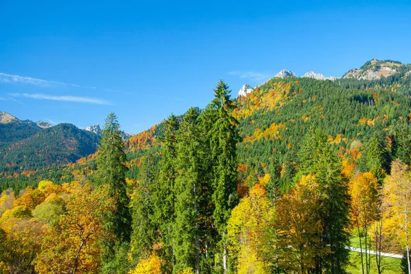 Solig Höstdag Bayerska Alperna Södra Tyskland — Stockfoto