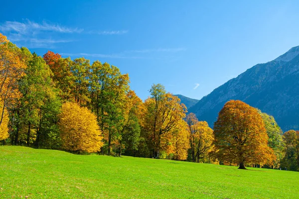 Slunečný Podzimní Den Bavorských Alpách Jižní Německo — Stock fotografie