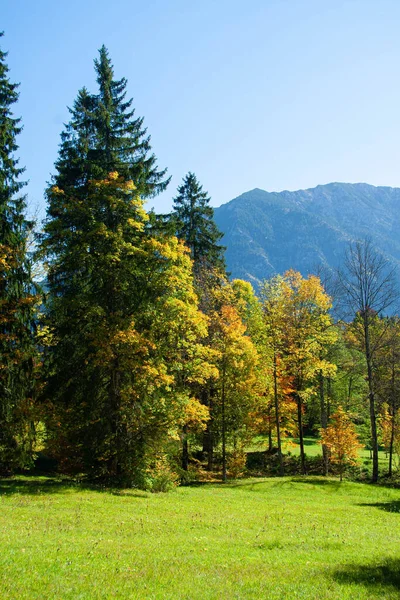 Zonnige Herfstdag Beierse Alpen Zuid Duitsland — Stockfoto