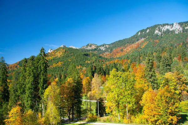 Journée Ensoleillée Automne Dans Les Alpes Bavaroises Allemagne Sud — Photo