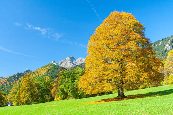 Zonnige Herfstdag Beierse Alpen Zuid Duitsland — Stockfoto