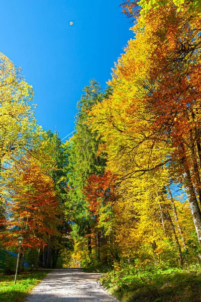 Solig Höstdag Bayerska Alperna Södra Tyskland — Stockfoto