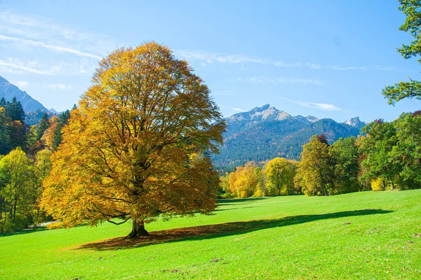 Journée Ensoleillée Automne Dans Les Alpes Bavaroises Allemagne Sud — Photo